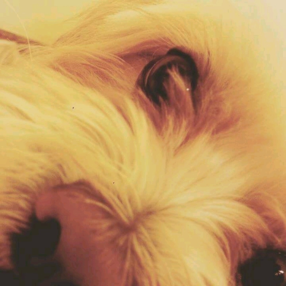 Meet your Posher, Alejandra